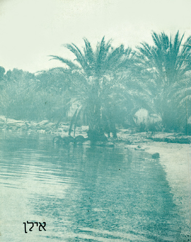 כריכת החוברת לזכרו